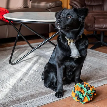 Freesenbruch 2 1 - Moewennest * ツィングシュト