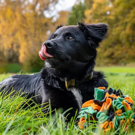 Freesenbruch 2 1 - Moewennest アパート ツィングシュト